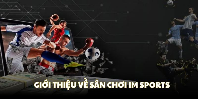 IM Sports Vin88 giới thiệu sảnh chơi thể thao