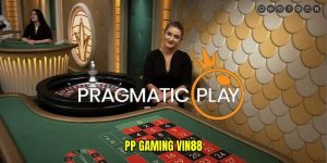 PP Gaming Vin88